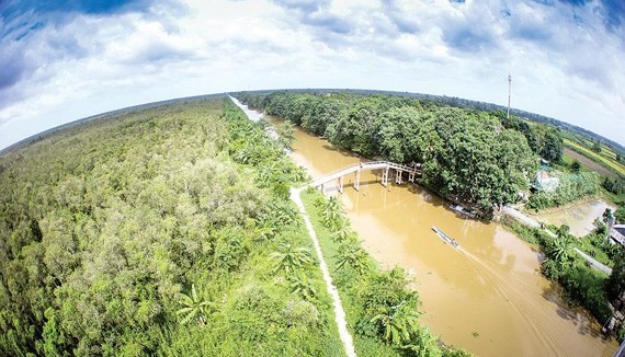 A corner of Hau Giang province (Photo: sggp)