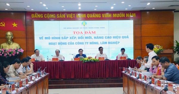 Cho phá sản các công ty nông, lâm nghiệp kém hiệu quả