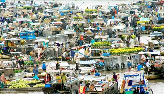 Can Tho organizes Cai Rang floating market tourism day