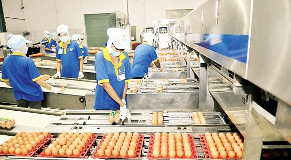 Goods quality, food safety not closely supervised in HCMC