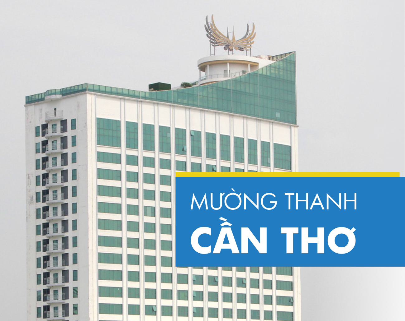 Câu chuyện những sai phạm của tập đoàn Mường Thanh ảnh 5