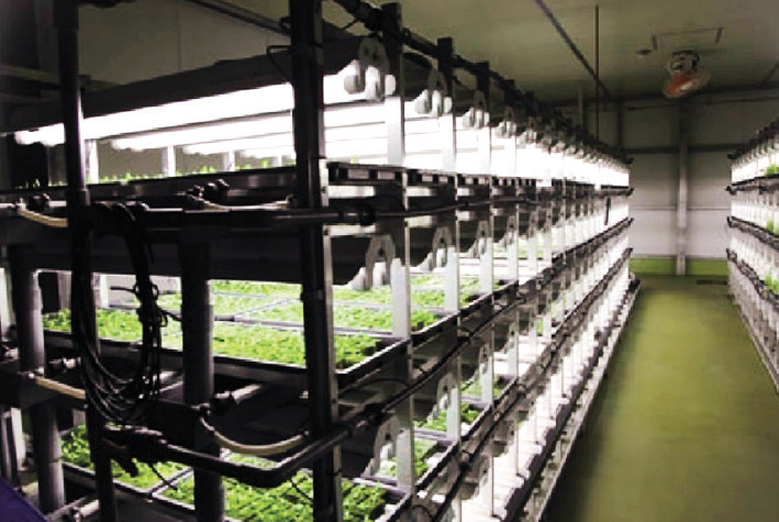 Nên hình thành vùng nông nghiệp công nghệ cao Xưởng cây trồng ở Nhật Bản