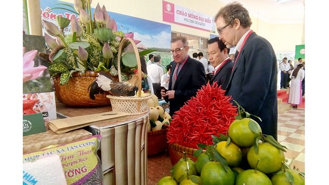 Điểm sáng tái cơ cấu nông nghiệp ảnh 1