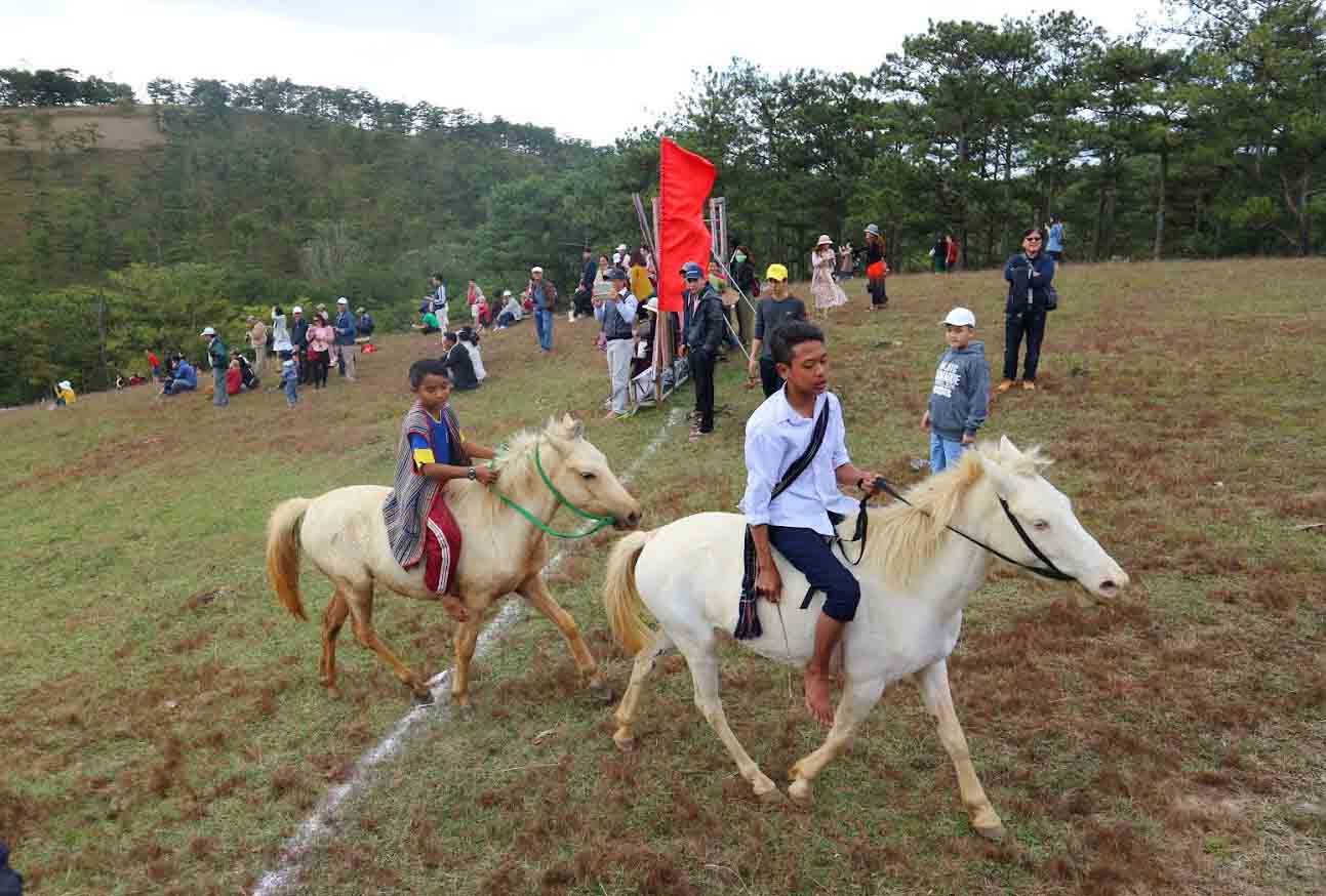 Độc đáo giải đua ngựa không yên ở Đà Lạt ảnh 5