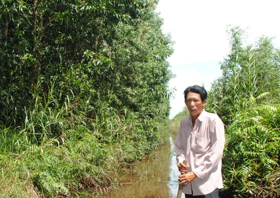 Giả công văn, trưởng phòng thanh tra lãnh án gần 4 tháng tù ảnh 2
