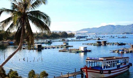 Ủng hộ phát triển đặc khu nhưng băn khoăn mô hình trưởng đặc khu ảnh 2