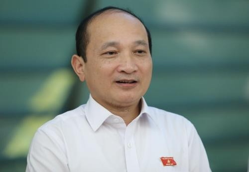 ĐBQH “chấm điểm” Bộ trưởng Bộ TN-MT ảnh 1