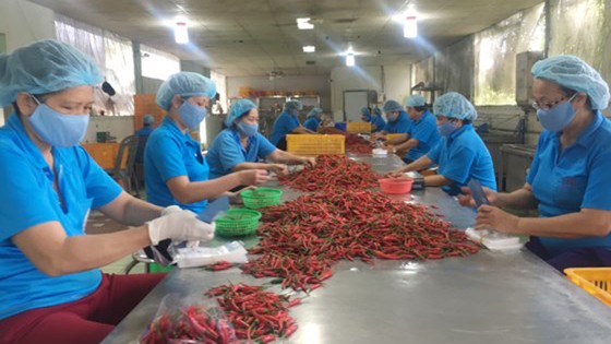 Hơn 90% hàng bày bán tại chợ Bến Thành có xuất xứ trong nước ảnh 2