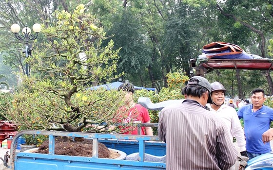 Người dân TPHCM tất bật lựa hoa kiểng đón Tết ảnh 3