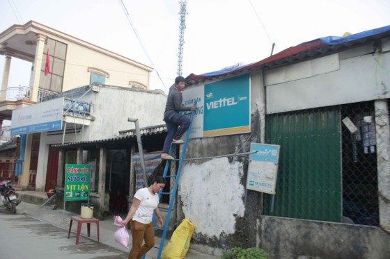 Bội thu tỏi, người dân Lý Sơn phơi cả trên nóc nhà ảnh 6