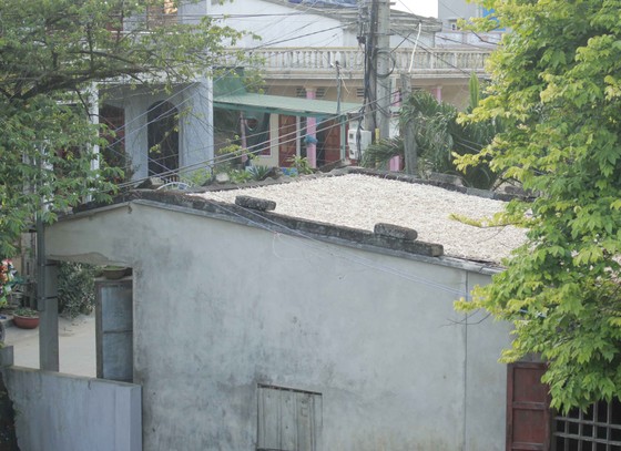 Bội thu tỏi, người dân Lý Sơn phơi cả trên nóc nhà ảnh 5