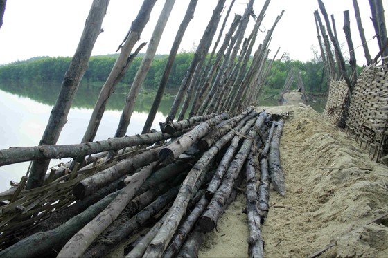 Vỡ 60m đập ngăn mặn trên sông Trà Bồng ảnh 4