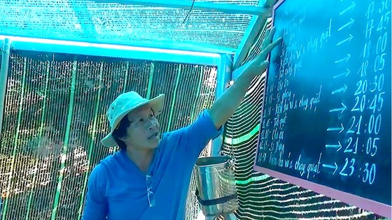 Nuôi tôm ứng dụng công nghệ cao ảnh 1