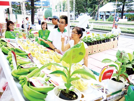Sản phẩm bảo hộ tại Việt Nam chưa chắc nước khác công nhận ảnh 1