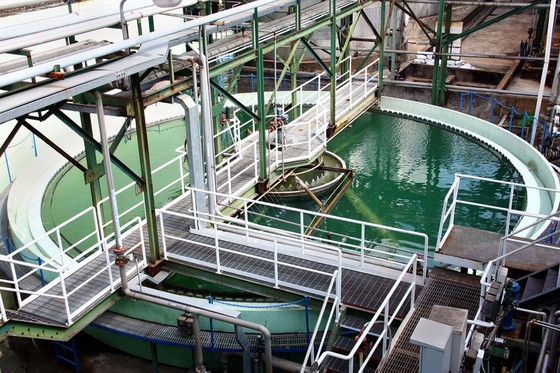 Phát triển bền vững đồng hành cùng môi trường ảnh 1