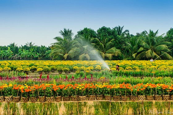 Trải nghiệm văn hóa Đồng Tháp tại TPHCM ảnh 3