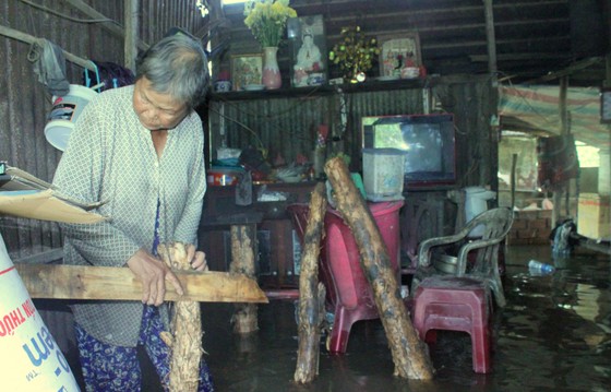 Cần Thơ: Triều cường dâng cao làm vỡ 2 đoạn đê ảnh 5
