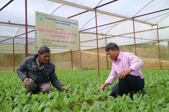 Phát triển sản xuất nông nghiệp hữu cơ theo hướng bền vững tại Lâm Đồng ảnh 1