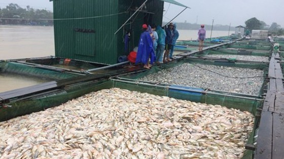Giá cả vùng lũ tăng nóng tới 30%-40%, đề nghị ngân hàng cho vay khắc phục bão lũ ảnh 2