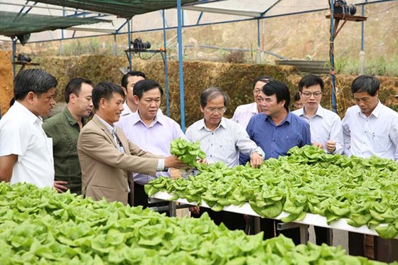 Hôm nay (7-7) là ngày kỷ niệm của hàng triệu xã viên hợp tác xã ảnh 2