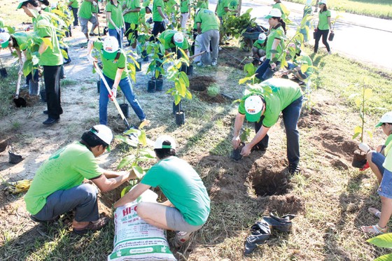 Uy tín và trách nhiệm tạo nên thương hiệu THUTHIEMGROUP ảnh 1