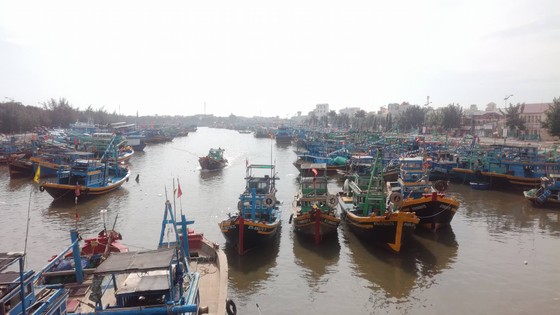 Ngư dân Bình Thuận tất bật chuẩn bị ra khơi sau bão ảnh 2