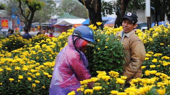 Người dân Cố Đô đội mưa đi chợ hoa Tết ảnh 2