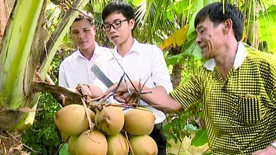 Homestay ở Tam Nông ảnh 1