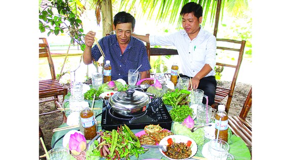 Homestay ở Tam Nông ảnh 3