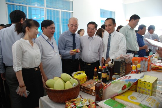 Đẩy mạnh xúc tiến thương mại, đầu tư các tỉnh phía Nam ảnh 2