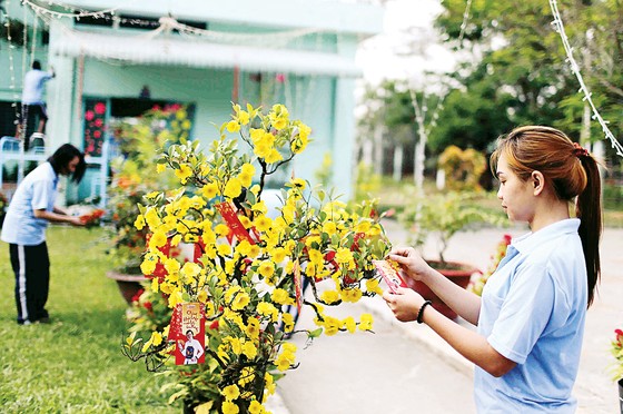 Nét đẹp mùa xuân ảnh 5