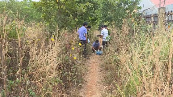 Phát hiện thi thể người đàn ông đang phân hủy dưới gốc cây ảnh 1