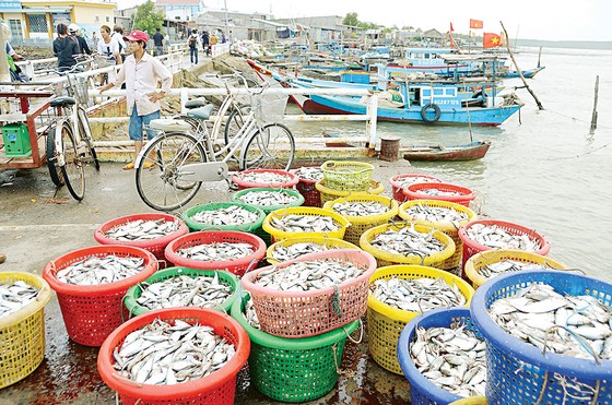 Khởi sắc ở xã đảo nghèo ảnh 1