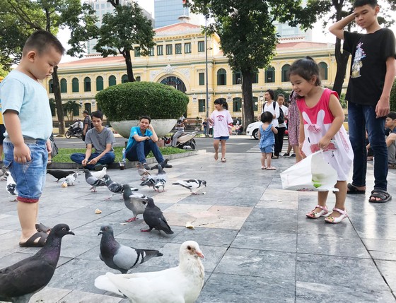 Vui chơi cuối tuần ở TPHCM ảnh 2