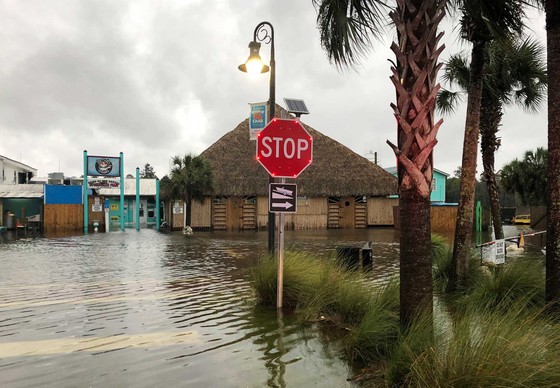  Florida tan hoang sau siêu bão Michael mạnh nhất kể từ năm 1992 ảnh 23