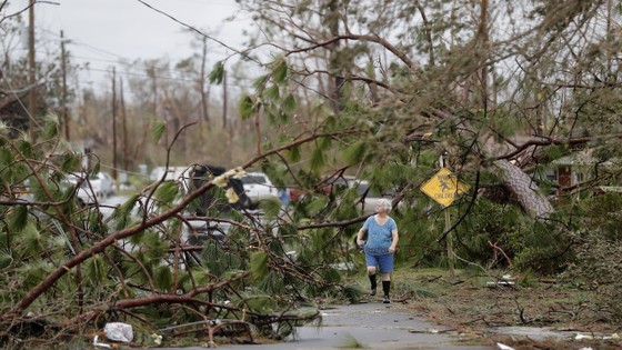  Florida tan hoang sau siêu bão Michael mạnh nhất kể từ năm 1992 ảnh 42