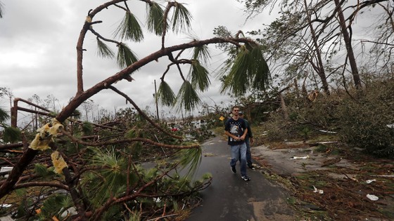  Florida tan hoang sau siêu bão Michael mạnh nhất kể từ năm 1992 ảnh 43