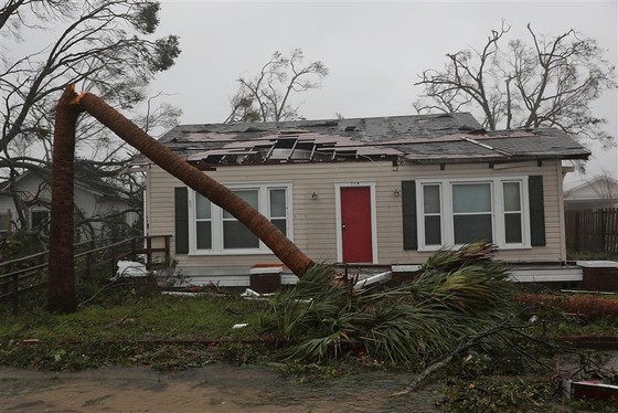  Florida tan hoang sau siêu bão Michael mạnh nhất kể từ năm 1992 ảnh 7