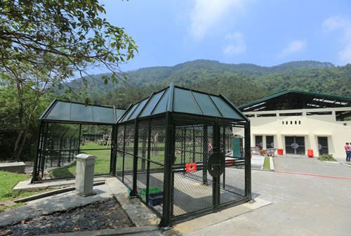 Hoàn tất dự án Trung tâm Cứu hộ gấu Việt Nam ảnh 3