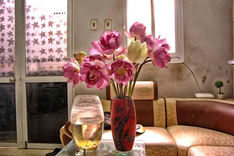 Chiêm ngưỡng khu đầm 12 loại sen quý gần Hà Nội ảnh 14