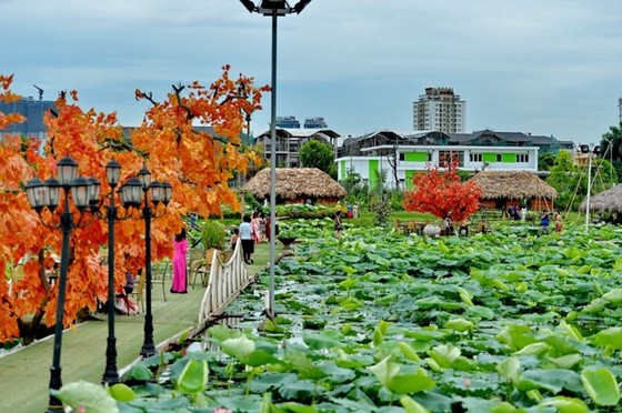Vẻ đẹp thung lũng sen Hồ Tây mùa hạ ảnh 4