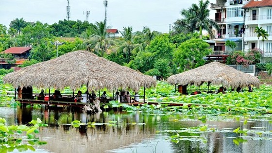 Vẻ đẹp thung lũng sen Hồ Tây mùa hạ ảnh 6