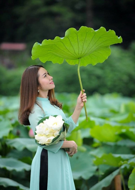 Vẻ đẹp thung lũng sen Hồ Tây mùa hạ ảnh 7