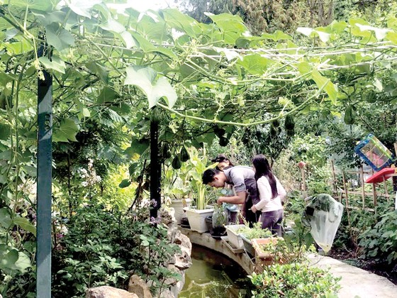 Vui như người Việt làm vườn ảnh 1