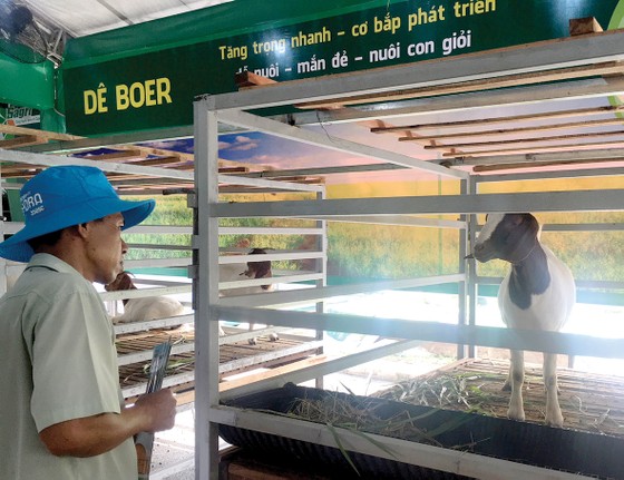 Nhiều giống mới, chất lượng cao ảnh 3