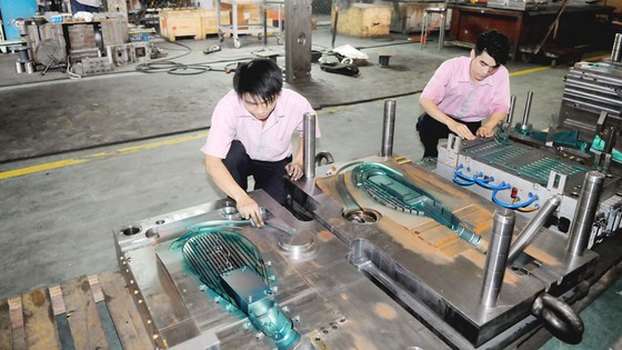 Phát triển kinh tế tư nhân sau Nghị quyết 10 - Bài 1: Doanh nghiệp tư nhân vẫn còi cọc ảnh 2