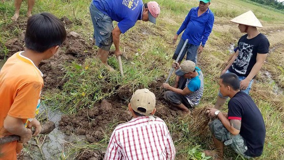 Mùa săn chuột đồng ảnh 1