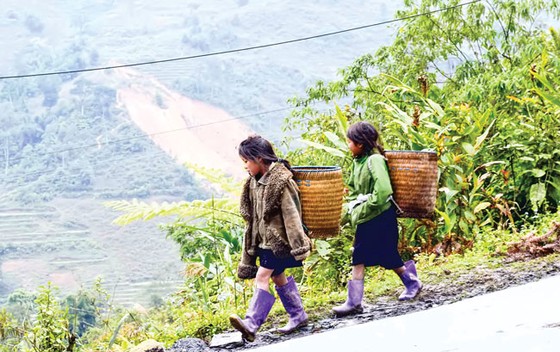 Phía sau một Sapa hoa lệ ảnh 1
