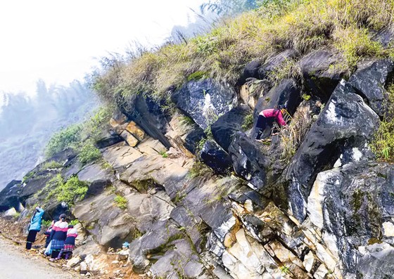 Phía sau một Sapa hoa lệ ảnh 2