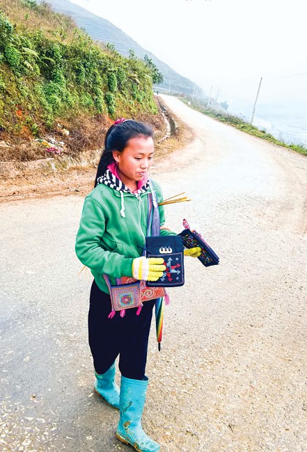 Phía sau một Sapa hoa lệ ảnh 3